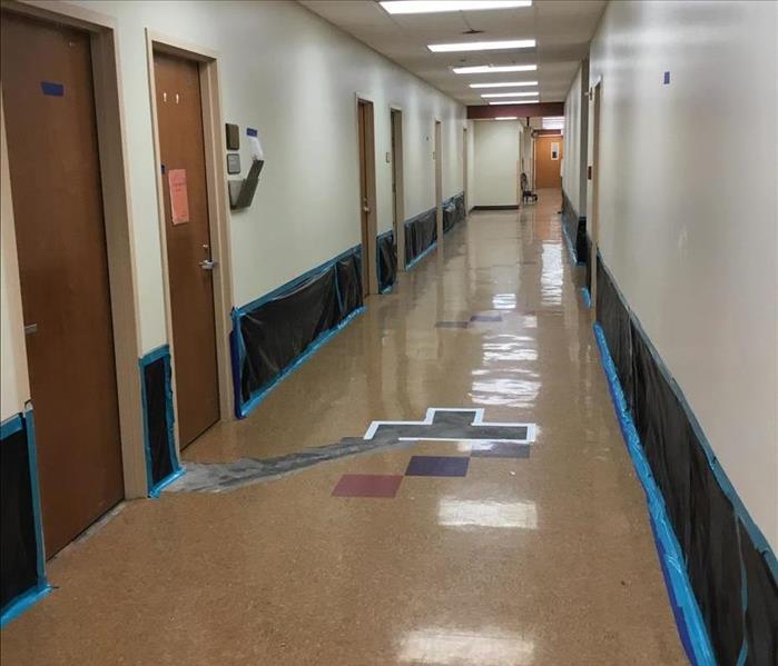 Large commercial hallway with many doors.  Drywall removed up to two feet, which has been covered with black plastic 