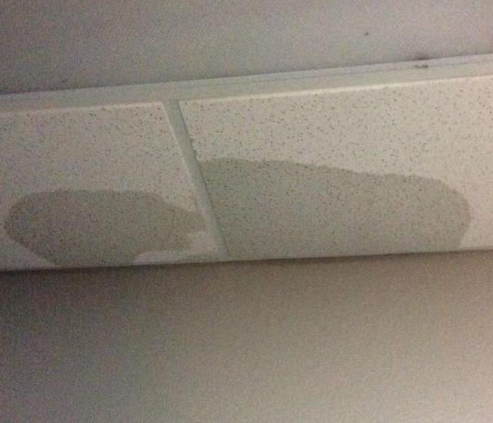 Wet ceiling tiles from pipes leak