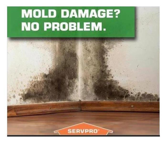 Leaks cause mold